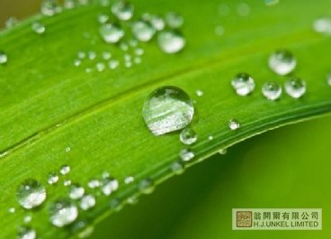 防水劑VARIPHOB AC2231圖片