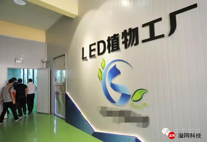 溢網(wǎng)植物工廠3.jpg