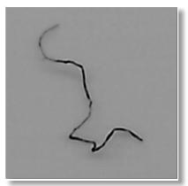 顆粒物清潔度儀過(guò)濾膜掃描